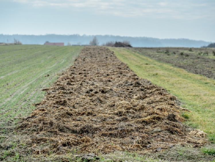 Tegoroczny ciepły luty umożliwił wcześniejsze rozpoczęcie prac w rolnictwie